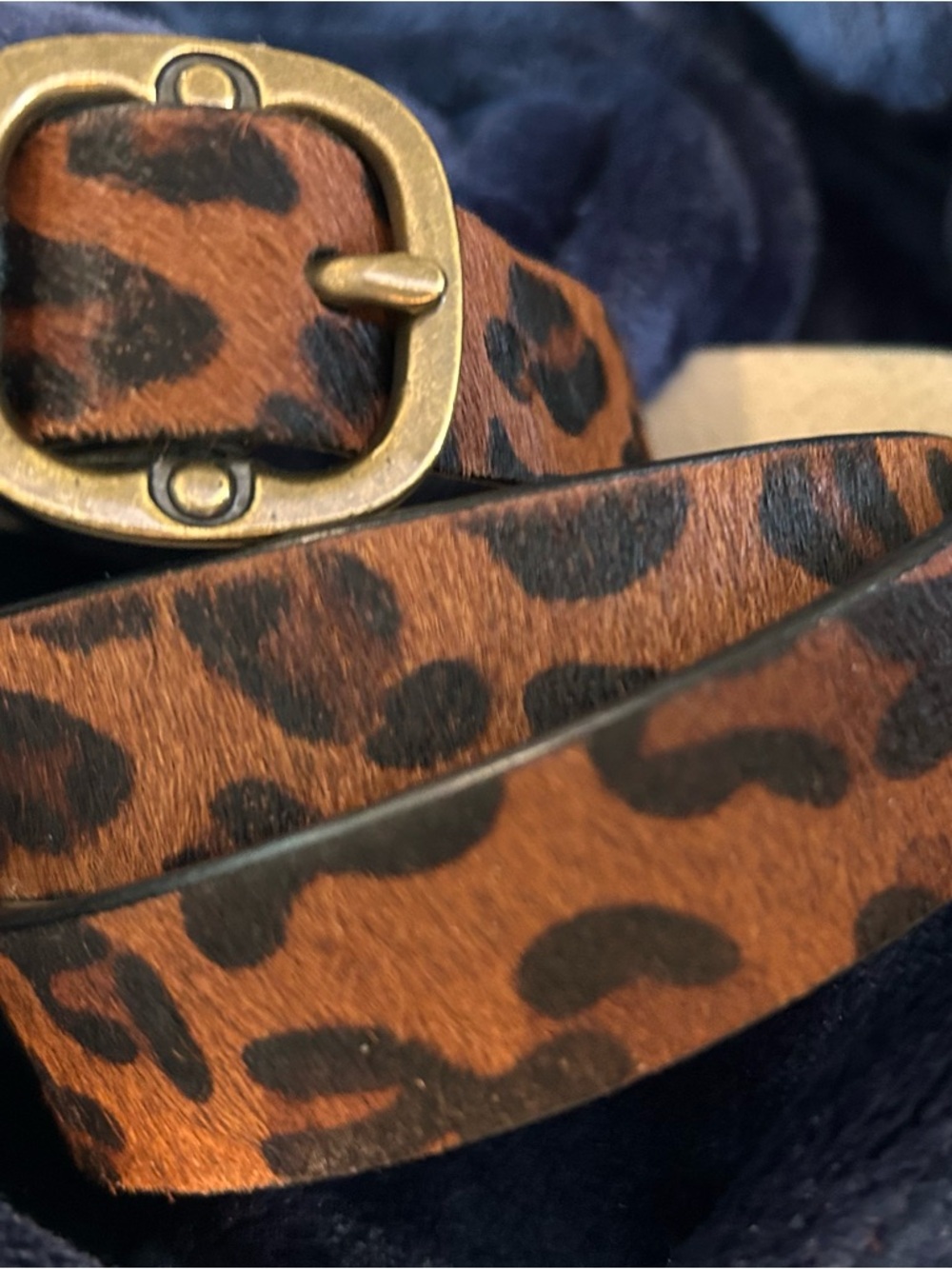 Coldwater Creek Leopard Haircalf Belt with Brass Buckle - Brown/Black - Picture 8 of 11